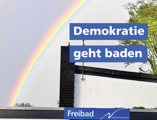 Flyer – Demokratie geht baden